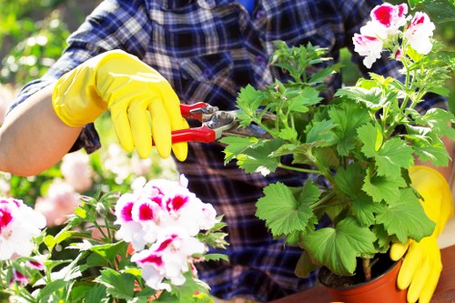 Checkout and payment confirmation for Putney garden maintenance