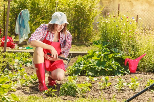 Gardener assessing a residential garden, close-up on tools and plans