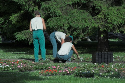 Senior operations staff conducting a site reassessment in a garden